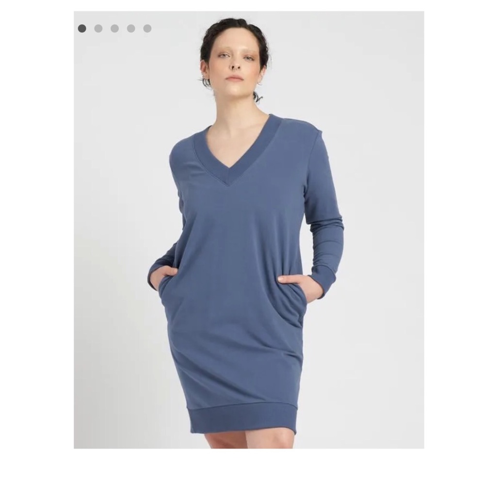UNIVERSAL STANDARD Valerie V-Neck Sweatshirt Dress